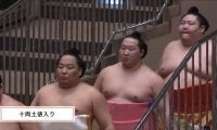 「この化粧まわし最高！」十両力士の腰に“世界的人気漫画”の人物 ファン興奮