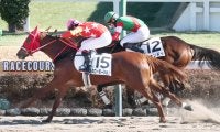 【中山５Ｒ・３歳新馬】８番人気のスローモーションがゴール前で差し切って勝利　長岡騎手「馬に感謝」