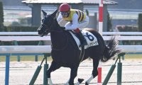 【京都5R新馬戦結果】シルバーステート産駒ニシノサリーナが5馬身差で圧勝