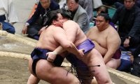 東前頭17枚目の朝白龍「まだ２番だけ」新入幕から２連勝　正月は浅草寺へ初詣行くも…