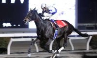 【高知・ベラトリックス特別】シンリンゲンカイがクビ差逃げ切りで3連勝、初の準重賞制覇