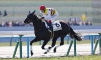【新馬/京都5R】セイウンハーデス全妹、ニシノサリーナが5馬身差楽勝