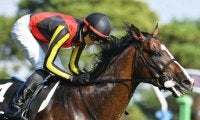 日経新春杯と京成杯の2重賞/今週の競馬界の見どころ