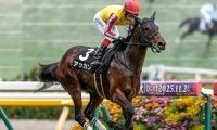 【京成杯見どころ】機動力が持ち味のアッカンが3連勝で重賞初制覇だ