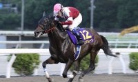 高知けいば、2025年優秀馬を発表…代表馬・最優秀3歳馬にジュゲムーン