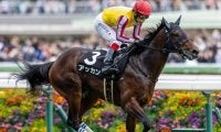 【京成杯想定騎手】アッカンは池添謙一騎手、ポルフュロゲネトスは横山武史騎手