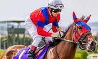 【日経新春杯】7歳牝馬のライラック 牡馬撃破で4年ぶりVなるか
