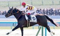【注目馬動向】新馬戦を５馬身差で圧勝したニシノサリーナはクイーンＣへ　鞍上は引き続き池添謙一騎手