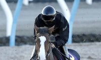 【注目馬動向】２４年牝馬２冠チェルヴィニアは中山記念で始動予定　初めての中山で再起を目指す