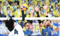 スポーツ記者コラム　春高バレー、横浜隼人マクアリスターから幼馴染の後輩に託された思い