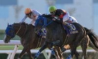 地方年度代表馬は東京大賞典Vのディクテオン NARグランプリの表彰人馬が発表