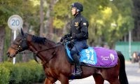 【注目馬動向】３年連続の挑戦となるサトノグランツがアミールＴの招待を受託　ディープモンスターも