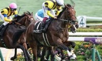 日経新春杯で複勝率83%のデータ 今年の該当馬は1頭のみ