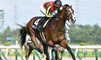 【日経新春杯出走馬・騎手確定】ゲルチュタール＆坂井瑠星騎手、ヤマニンブークリエ＆横山典弘騎手など13頭