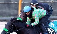 【日経新春杯】杉山晴調教師は「いつもと同じ」と納得　ゲルチュタールは仕上がりのよさを伝える軽めのメニュー
