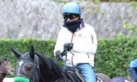 【注目馬動向・３歳】黄菊賞３着のダークマルスは若駒Ｓへ　エアビーアゲイルはフラワーＣを目標