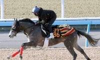 【ＰＯＧ】好時計マークのウインアプローチ　Ｇ１・２勝の父も管理した畠山調教師「何とかこの馬で勝ちたい」