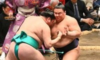 義ノ富士が２日連続金星後も勝って白星先行「今日が大事だと思って」