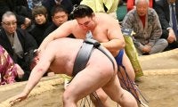 無傷５連勝の欧勝馬、力の源は「かわいい娘」場所中も寝かしつけ「時間かかる」けど「かわいい」
