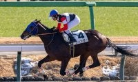 【ブルーバードカップ】羽田盃ステップレースにJRA馬4頭