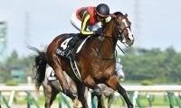 【日経新春杯枠順確定】ゲルチュタールは5枠6番、ヤマニンブークリエは6枠8番