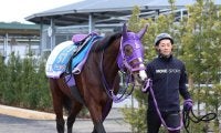 【注目馬動向】東京大賞典１１着のナチュラルライズはフェブラリーＳへ　伊藤圭調教師「距離は問題ない」