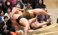 大相撲　若元春の額に血の跡　土俵際の起死回生一手で初日！王鵬の額にも血がべっとり　壮絶な一番に国技館が沸く