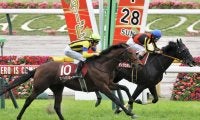 ヒートオンビートが登録抹消…乗馬へ