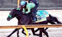 【日経新春杯】ゲルチュタールは６番枠から飛躍期す１年の始動戦　杉山晴調教師「偶数ですし、言うことないです」