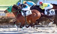 【中山３Ｒ・３歳新馬】ガムラスタンが差し切ってデビュー勝ち　横山琉人騎手「初戦としてはすごくいい内容」