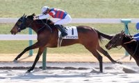 【京都４Ｒ・３歳新馬】ホウショウルクスが逃げ切り　復帰後初Ｖの角田大和騎手「調教から能力が高いと思っていた」