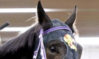 土曜京都競馬場の注目激走馬…京都１１Ｒ羅生門ステークス