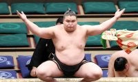 「史上最強の新弟子」旭富士が序ノ口で勝ち越し　危なげなく４連勝