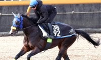 超良血馬まさかの大敗デビューにネット悲鳴「これはショック」「見せ場ゼロ」キタサンブラック半弟ラルクアンレーヴ