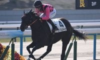 【京都5R新馬戦結果】エピファネイア産駒クリスレジーナが逃げ切り勝ち
