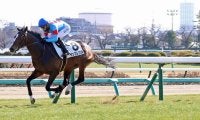 【中山５Ｒ・３歳新馬】４３頭除外の“超高倍率”レース　勝ったのは「強運の持ち主」サンプレクス