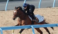 日曜中山競馬場の注目激走馬…中山１１Ｒ京成杯・Ｇ３