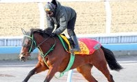 日曜京都競馬場の注目激走馬…京都１１Ｒ日経新春杯・Ｇ２