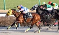 【中山１０Ｒ・ジャニュアリーＳ】三浦皇成騎手「馬が充実期」と絶賛　連勝決めた１２番人気のモンドプリューム