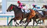 １０億円超が返還されたレースはサクがＶ「聞いたことねえぞ」「うおぉぉ」新馬以来１５１３日ぶり勝利にネット歓喜