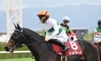 AJCC、プロキオンSなど3重賞/今週の競馬界の見どころ