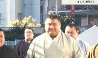 天覧相撲、力士が続々と“袴姿”で会場入り「義ノ富士派手だな」ひと際目を引くスタイルに元若乃花「若いので明るい色がいい」 高安さすがの“風格”にも反響