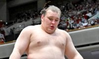安青錦が２敗を守る　若隆景に勝ち、首位と１差　新大関での優勝目指す