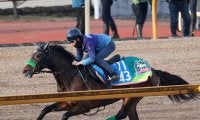 【アメリカＪＣＣ】クラシック皆勤のジョバンニが重賞初制覇を狙う　杉山晴調教師「どんな競馬場、コースでも走れる馬」