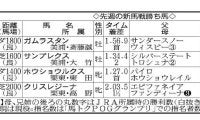 【ＰＯＧ】京成杯Ｖのグリーンエナジーは世代頂点を狙える存在　京都で新馬２着ロードスタニングもかなりの好素材