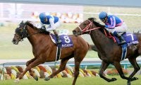 種牡馬としても活躍したＧ１・５勝ダイワメジャーが２５歳で死去　１９日に死んだダンスインザムードは２週続けてクラシックを勝った同期