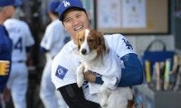 巨大な愛犬デコピンが“初登場”　大谷らLAスターと堂々共演…新たな名物スポットに