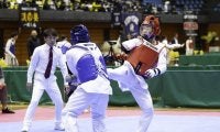 全日本テコンドー選手権でパイオニアの伊藤が優勝！ アジアパラ注目競技の現状は