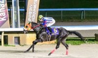 【金沢競馬】2025年度の年度代表馬にエムティジークを選出
