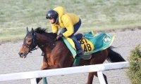 【小倉牝馬Ｓ】実績上位のココナッツブラウンは坂路で微調整　上村調教師「４５０キロ台で出られれば」馬体重がカギに
